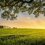 Menciptakan Lingkungan yang Selaras dengan Ritme Pribadi